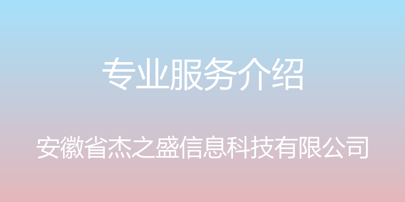 专业服务介绍 - 安徽省杰之盛信息科技有限公司