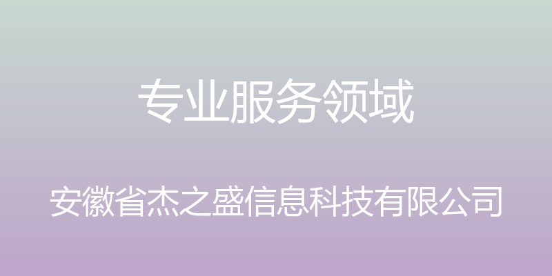 专业服务领域 - 安徽省杰之盛信息科技有限公司